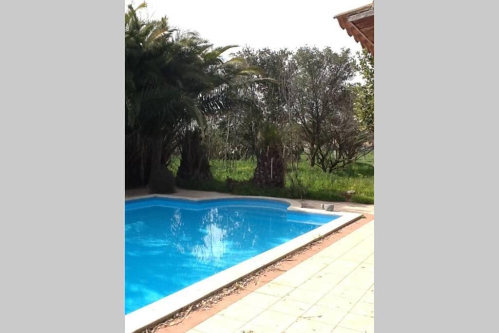 Big Relax Apartment With Swimming Pool And A Peaceful Garden In A Private Villa Sestu Luaran gambar