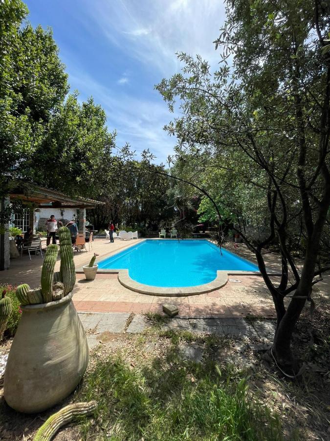Big Relax Apartment With Swimming Pool And A Peaceful Garden In A Private Villa Sestu Luaran gambar