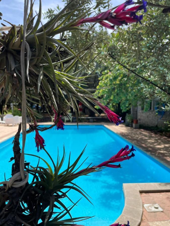 Big Relax Apartment With Swimming Pool And A Peaceful Garden In A Private Villa Sestu Luaran gambar